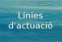 Línies d'actuació