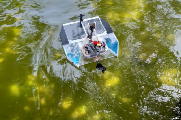 Finaliza el Tecnoestiu 2023: los barcos solares construidos en el campus de verano navegan con éxito en Menorca y Eivissa